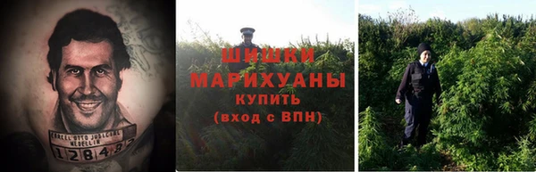 молекула духа Аркадак