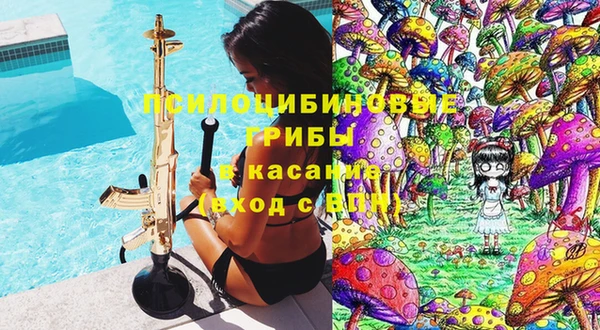 молекула духа Аркадак