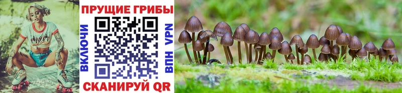 Галлюциногенные грибы мицелий  что такое наркотик  Лабинск 